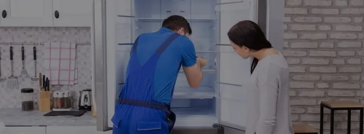 Ремонт холодильников Steel